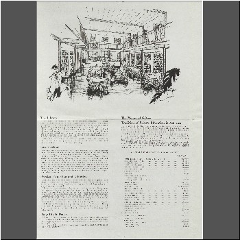 Unable to load Image